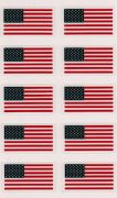 American Flags—Small